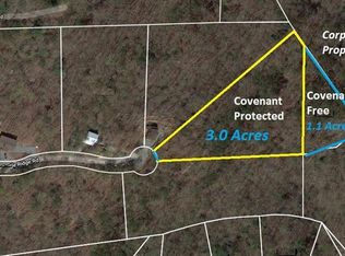 17 Turtle Ridge Ln, Ellijay, GA 30540