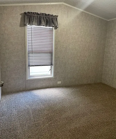26 Amirite Dr — Photo 13
