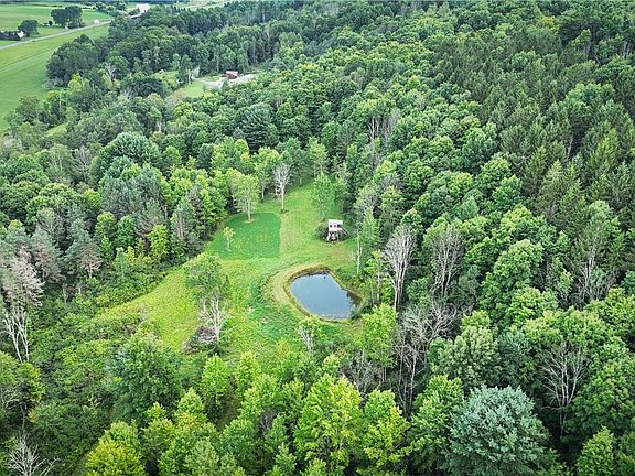 2nd image of 234 Back West Creek Rd Lot 2