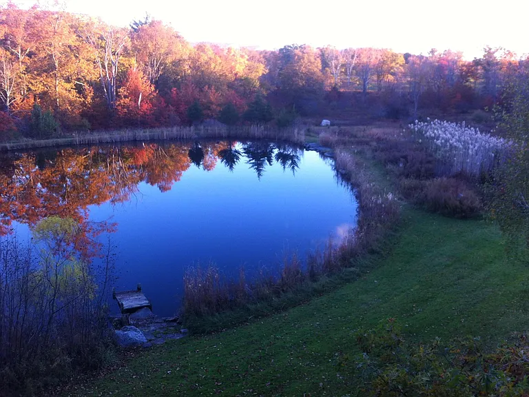 72 Tillson Lake Rd — Photo 13