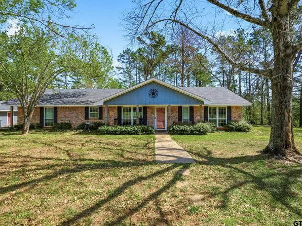 10763 County Road 461 S, Laneville, TX 75667