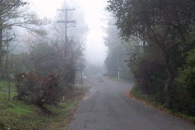 2nd image of 15832 Wright Dr