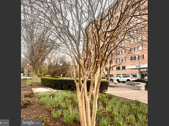 3rd image of 1900 Lyttonsville Rd APT 717