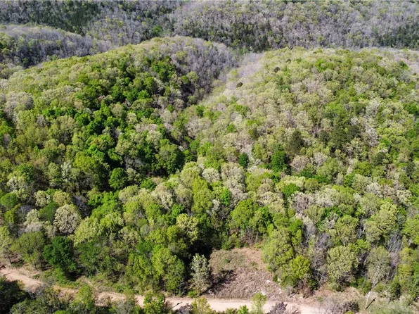 0 Holmes Rd, Mountain View, AR 72560