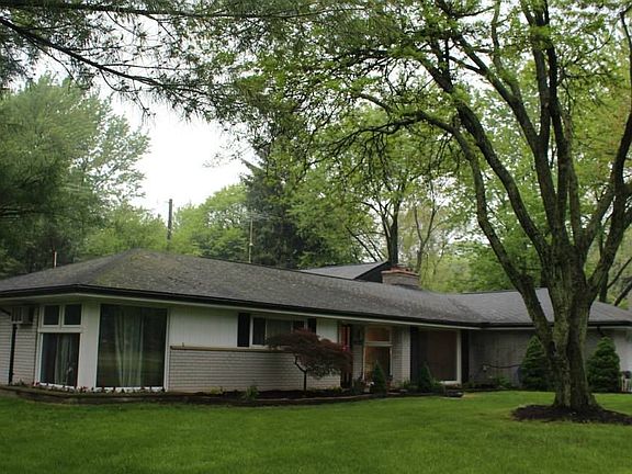 trees recently trimmed professionally.