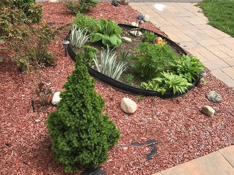 Front yard