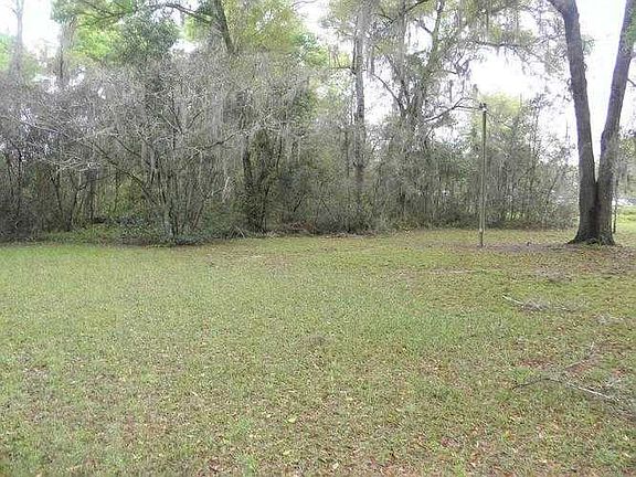 View of back yard