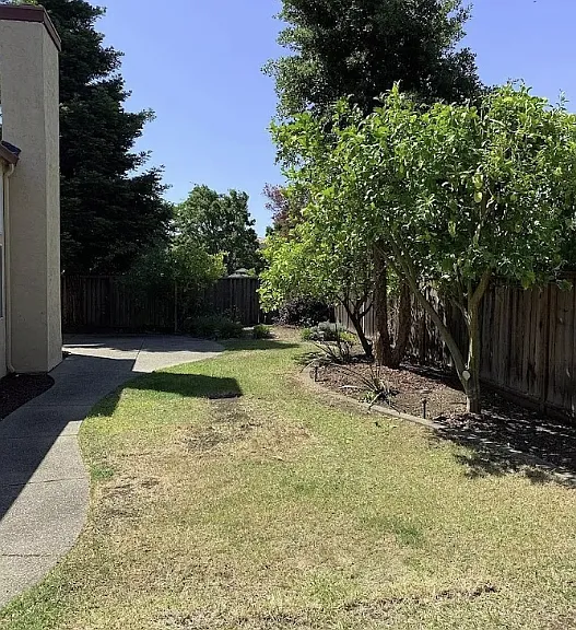 649 Daffodil Dr — Photo 21
