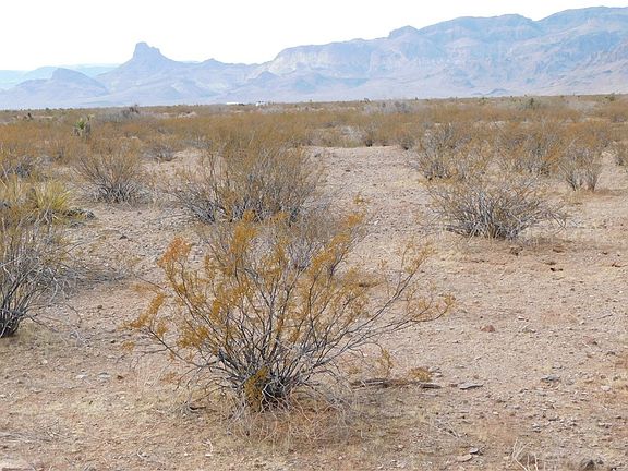 4th image of 3320 S Zircon Rd