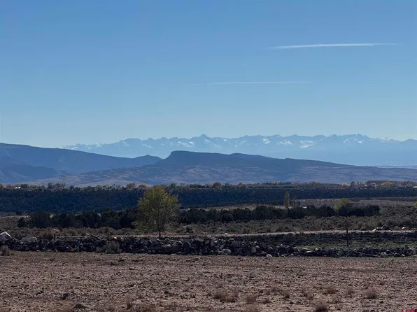 TBD  Lot 9 Stardust Lane, Cedaredge, CO 81413