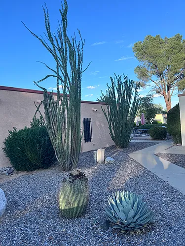 1101 S Calle De Las Casitas Photo 1