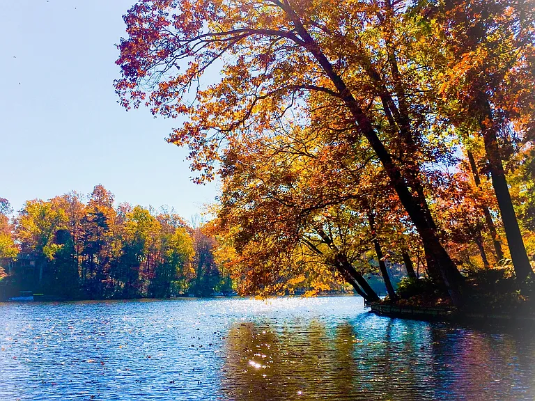 4 season of beauty