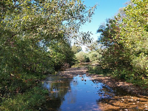 2nd image of 446 Grinders Creek Rd