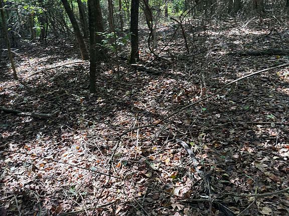 5th image of 425 Bald Knob Lake Rd