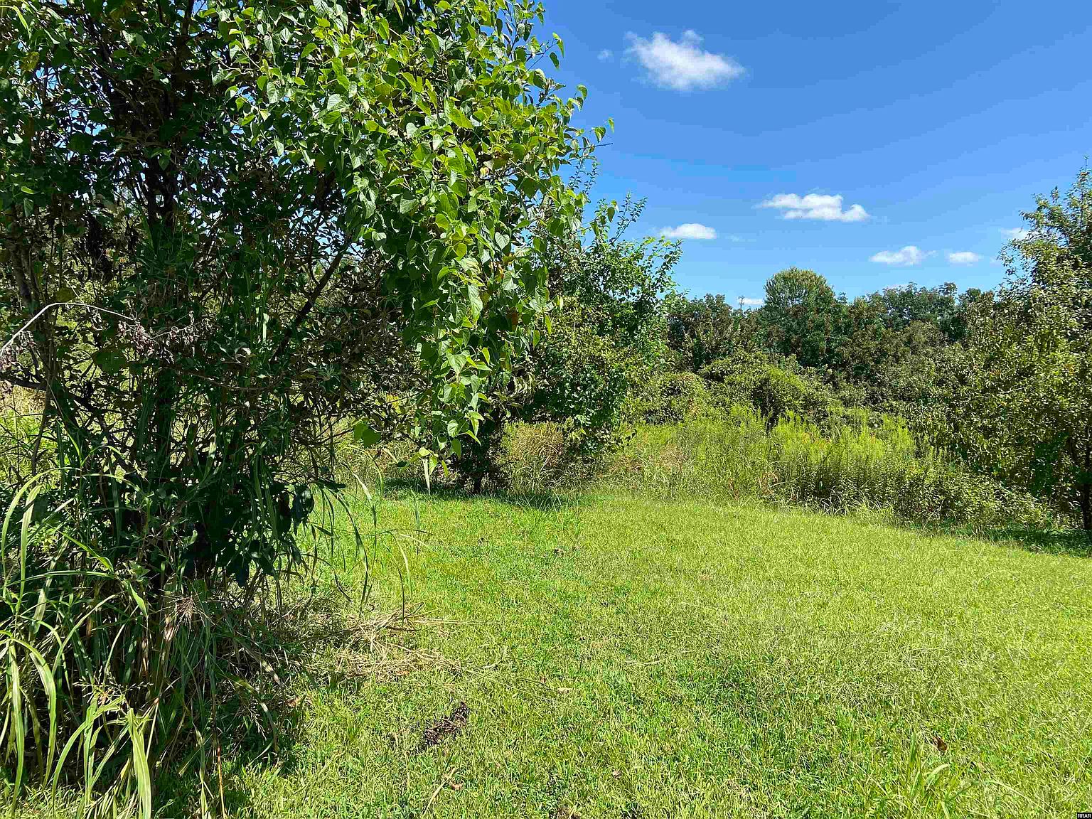 1108 Union City Hwy, Hickman, KY 42050 Zillow