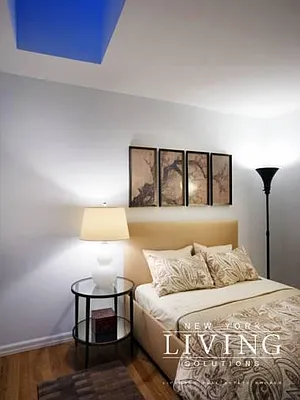 Rented by NY Living Solutions | media 43