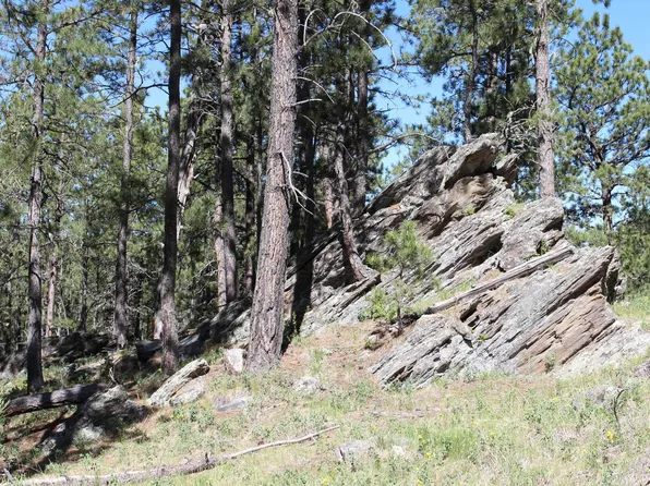 25030 Ruby Rd, Custer, SD 57730