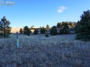 170 Forest Ln, Florissant, CO 80816
