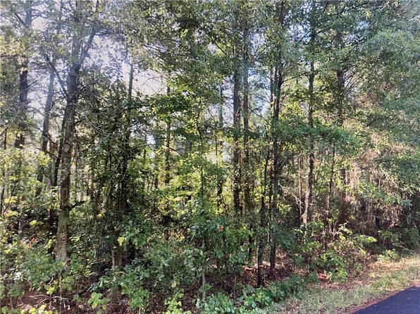 Goldonna Rd, Goldonna, LA 71031