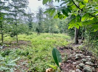 386AC Mudgett Rd, Parsonsfield, ME 04047