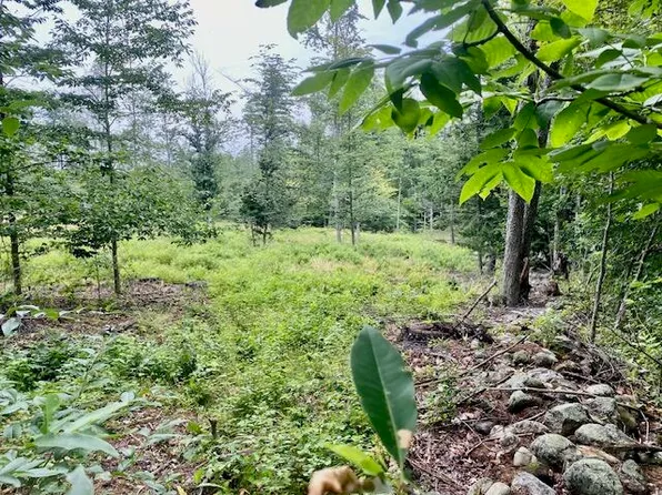 3.86AC Mudgett Road, Parsonsfield, ME 04047