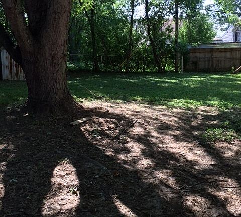 Nice deep, private back yard