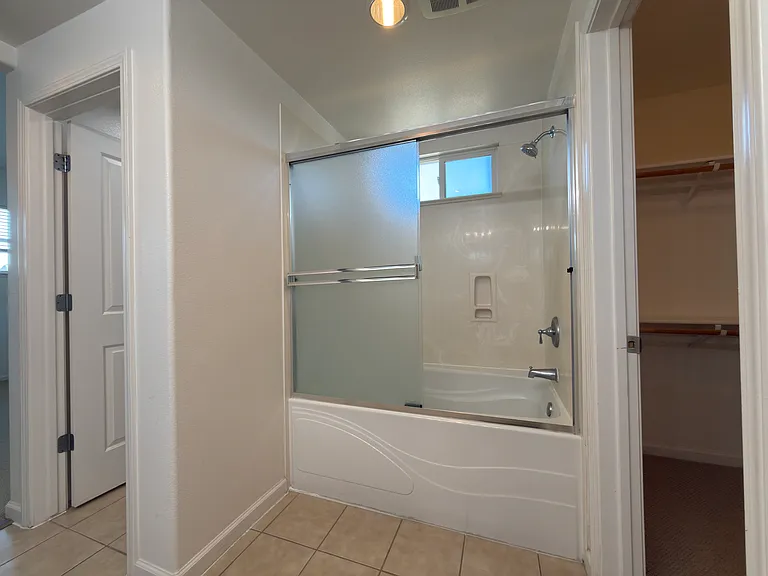 Master Bathroom Shower/Tub
