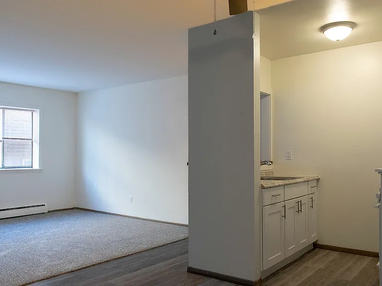 1 Bedroom - Renovated