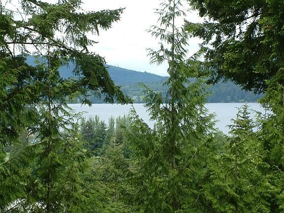 Lake view.