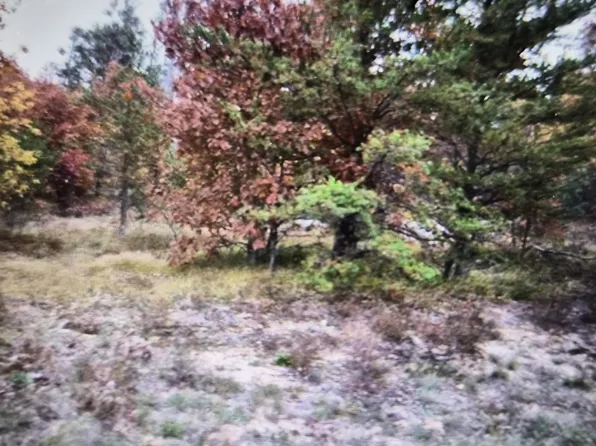 LOT 10 Northwood Dr, Grayling, MI 49738