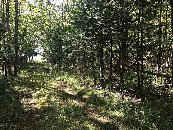 3rd image of 10272 McCarthy Dr