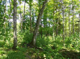 80 Acres Ford River Rd, Northland, MI 49819