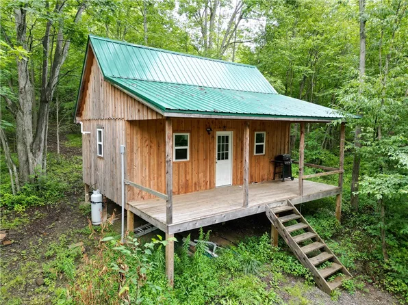 0 Potter Rd Lot 8, Jasper, NY 14855