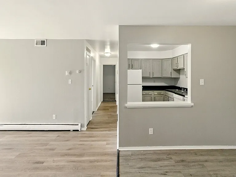 Kitchen and Living room