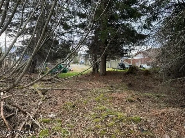 281 E Fairview Ave, Homer, AK 99603