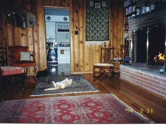 family room