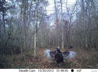 20 Acres Ratterman Road, Silex, MO 63377