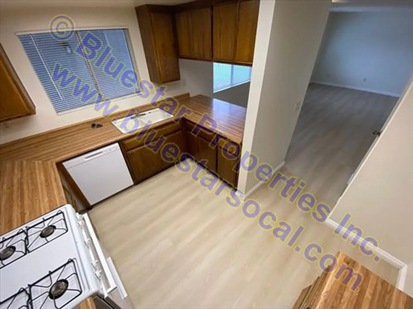 15636Seq — Photo 3