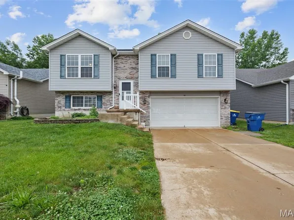 317 Andy Habsieger St, Festus, MO 63028