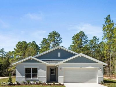 14953 Chimney Swift Rd, Weeki Wachee, FL, 34614