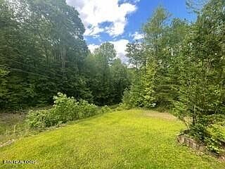 3rd image of 239 Poplar Ln