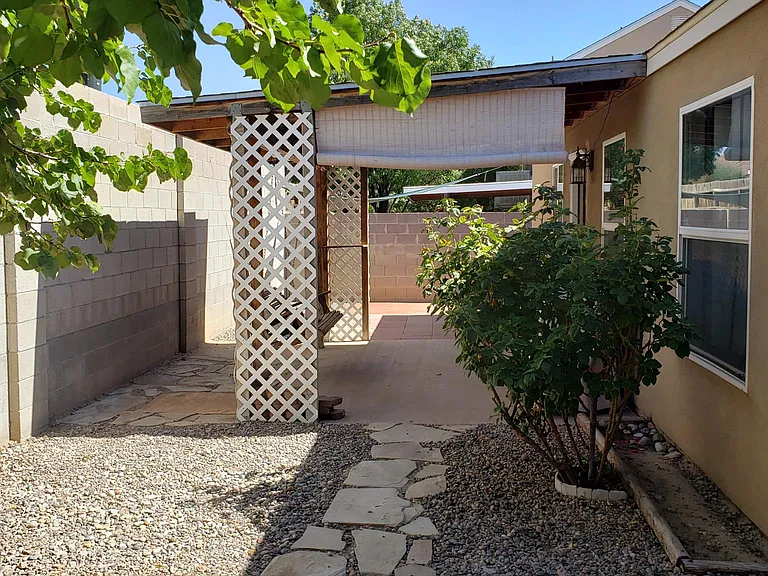 Backyard North view