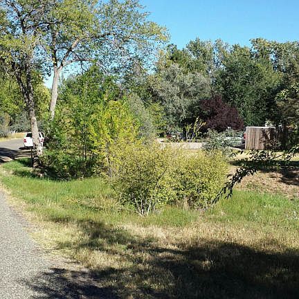 3rd image of 591 Arena Dr