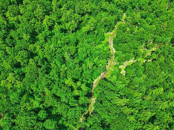 4th image of 13 Barrett Hill Road