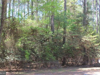 489 Dry Dock Ct, Greenbackville, VA, 23356