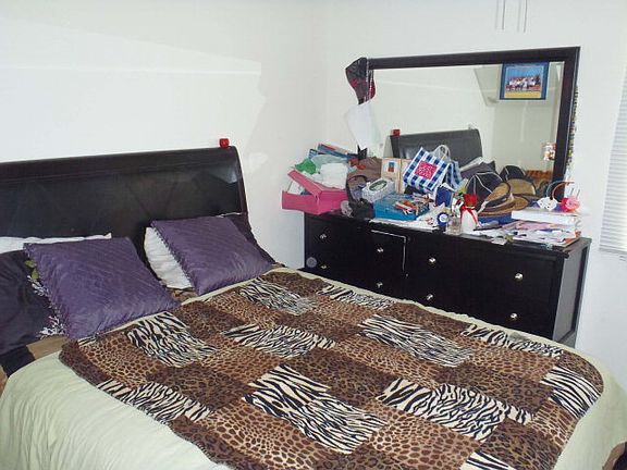 5th image of 1323 Palo Blanco Dr APT C