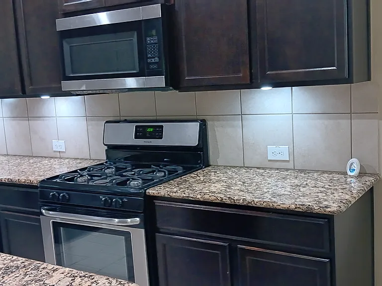 8817 Palmetto Fls — Photo 2