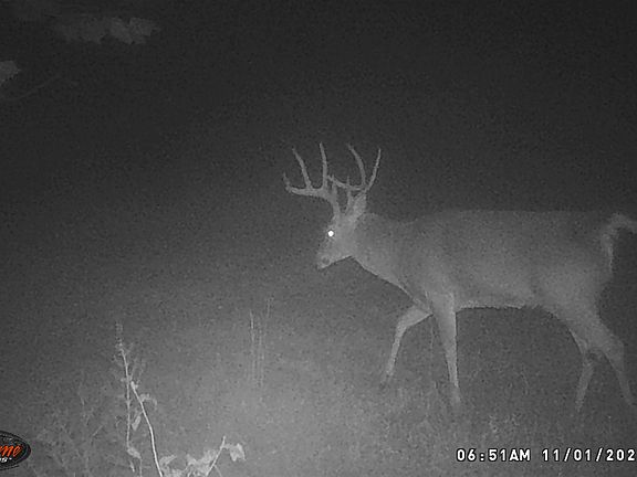 4th image of 0 Jones Mill Crossland Rd