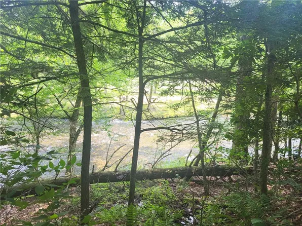 *** Dryer Road Tr 29, Fallsburg, NY 12733