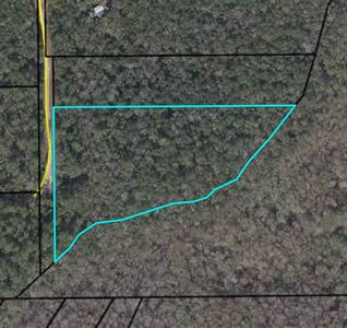 NE 780th St, Old Town, FL, 32680